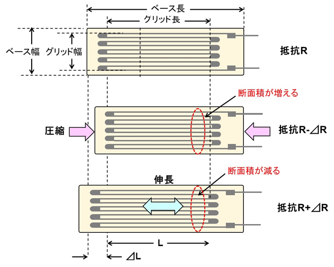 人の力学的ひずみの診断と修正法のノウハウ 人の力学的ひずみの診断と修正法のノウハウ